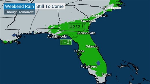 19K views · 206 reactions | Grab your umbrella☔ This weekend is going to be soggy from the South up to the Northeast. | The Weather Channel | Facebook