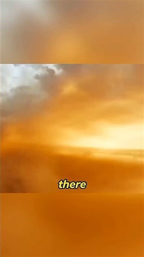 What Happens If A Human Breaks the Sound Barrier 🤔MythBusters....#shortvideo #trending #growyourch