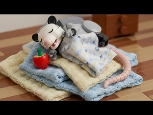 Opossums as PETS? #animals #pets #opossum