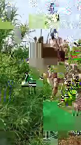 6.8K views · 141 reactions | Watch police in India's north eastern state of Tripura destroy a cannabis plantation spread over 100 acres of land. This operation is part of an ongoing crackdown on illegal cultivation of the plant in the state. #cannabis #marijuana #india | BBC News India | Facebook