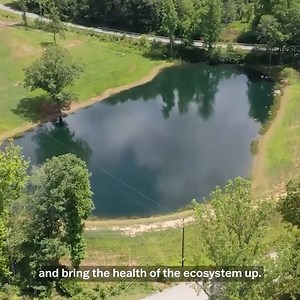 68K views · 719 reactions | Tips on Farm Ponds! | Stoney Ridge Farmer | Facebook