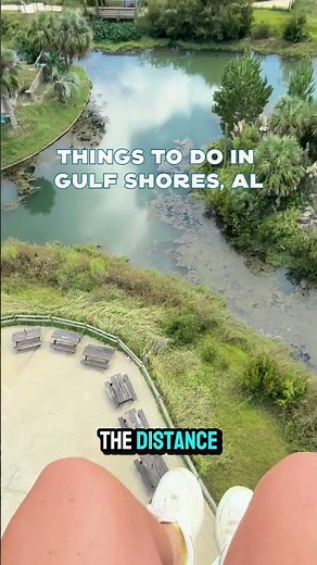 Things to do in Gulf Shores, AL. #AlabamasBeaches #AlabamaGulfCoast