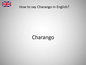 How to say Charango in English?