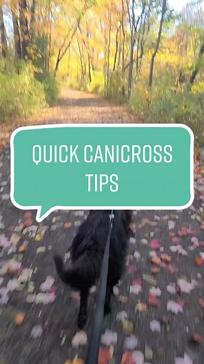 Start slow and trust the process! #dogtraining #sports #running #jogging #runwithyourdog #canicrossdog #dogsports #canicross