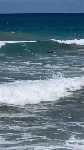 Kookslams on Instagram: "Expect the unexpected #rarepearl #galaxyzfold6 @bcruiz81"