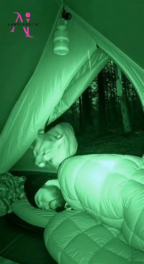 Mountain lion joins sleeping camper 😱 Only in the mountains. What was supposed to be a quiet, rainy-night camping trip turned into a full wildlife documentary when a night cam caught a mountain lion slipping into a camper’s shelter like it paid for the spot. One minute the rain is tapping on the tent. The next, a hundred-plus pounds of wild cat strolls inside to escape the storm, standing over the sleeping bag like it’s checking in for room service. The camper snores straight through it, comple
