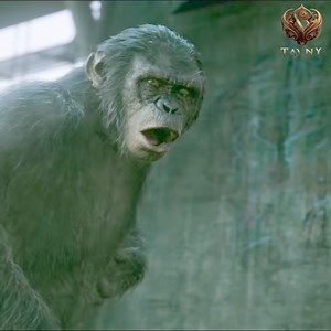 11K views · 166 reactions | Best action movie | The Mov | Facebook