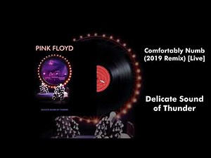 Pink Floyd - Comfortably Numb (2019 Remix) [Live]