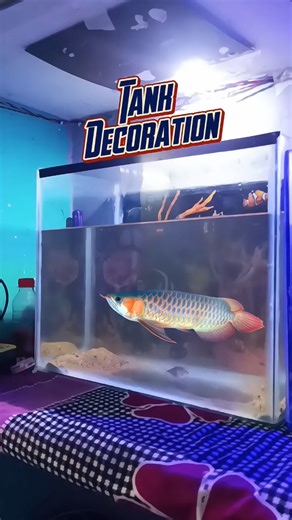 Aquarium decoration #vlog #shorts #trending #facts #subscribe #youtubeshorts #fish #share #fishing
