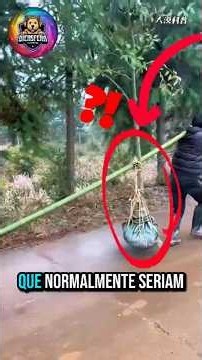 16 Técnicas Agrícolas Geniais que Você Provavelmente Não Conhecia!