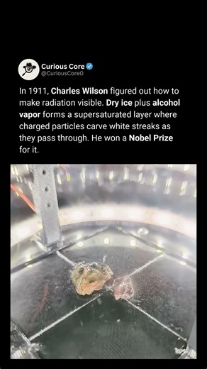 Cloud Chamber Makes Radiation Visible