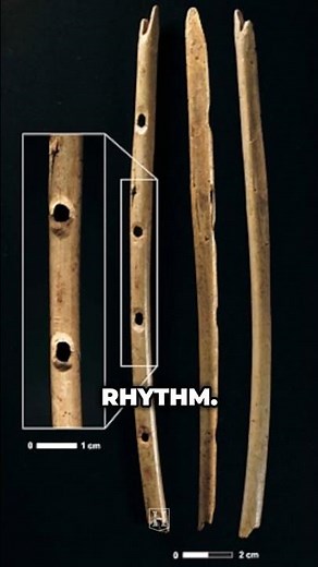 The World’s Oldest Musical Instrument #history