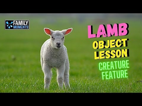 OBJECT LESSON with SHEEP and LAMBS - BEING GENTLE