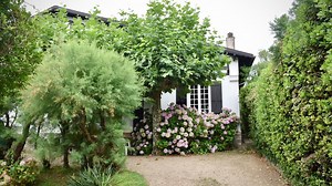 14 Jenis-Jenis Bunga Taman dan Karakteristiknya yang Populer