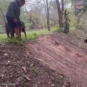 145K views · 4.2K reactions | Aww, sweet baby! | HomeChic | Facebook