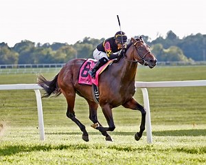 Ward's Bound for Nowhere Regroups in San Simeon