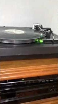 Dual 491