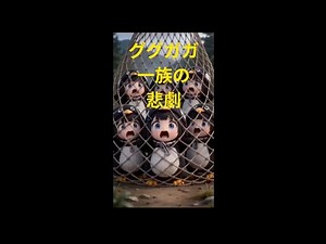 ググガガペンギン、封建時代に大名の逆鱗に触れる【完全版】