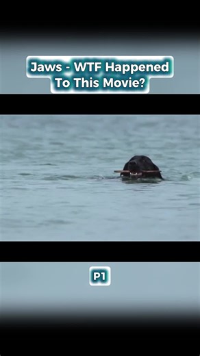 Jaws - WTF Happened To This Movie - Part 1 #jaws #stevenspielberg #fyp #movie #joblooriginals