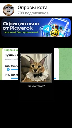 Лучший мем 2021? #мемас #meme #реки #рекомендации