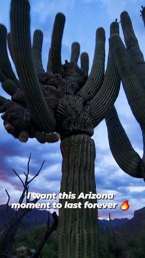 7.5K views · 270 reactions | Sunsets while hiking at Sabino Canyon...