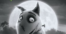 Frankenweenie (2012) - Ver Película Completa en Español / Castellano - FULLTV