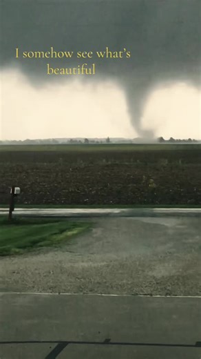 Exploring the Beauty of Tornadoes in Nature