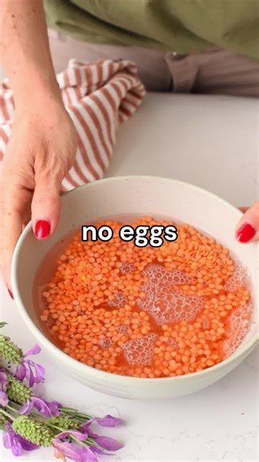 Chocolate Protein Cake (NO Protein Powder, NO Eggs, 10G Protein) RECIPE IN COMMENT | The Conscious Plant Kitchen