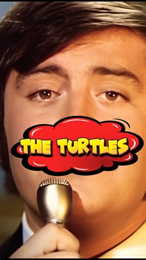 the Turtles #shorts #60hits #theturtles #rockhistory #classicrock