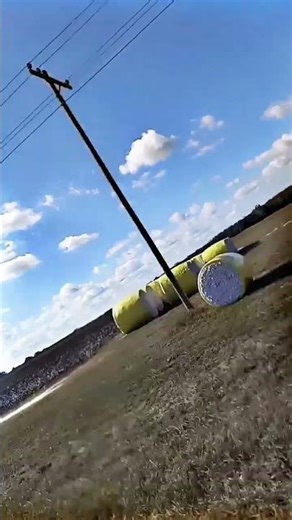 cotton fields? 🥴 #alabama #roadtrip #cotton #cottonfields #wthelly #subscribe #fyp #viral #funny