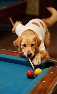 Dog Plays Billiards Like a Pro! 🎱😂#FunnyAnimals #DogVideos #ViralShorts #CuteDogs #pooltrickshots