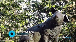 Top 10 Controversial Monuments from Around the World