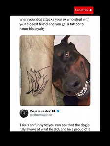 Why Dogs Bite Experts Say It’s Not Revenge—It’s Protection #dogs #dogbites