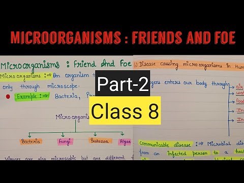 Microorganisms friend and foe class 8 | Microorganisms friend and foe chapter 2 class 8
