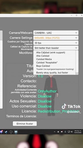 Cómo Usar Vseeface para Mover tu VTUBER