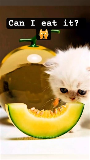 Glass Lime Cutting 🔪🍋 | Shattering Satisfying ASMR #shorts