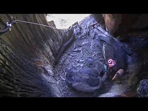 What condors really teach their chicks