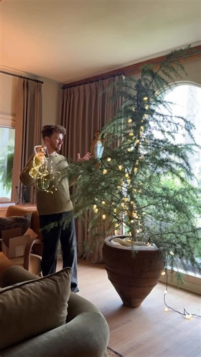 Lone Fox by Drew Michael Scott on Instagram: "Every time I head out or come home this tree puts a HUGE smile on my face! What are we thinking of the direction so far? #christmastree"