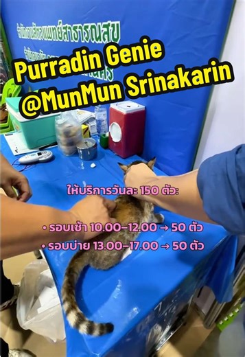 📣 ใครอยากพาน้องแมวมาฝังชิพฟรีฟังทางนี้เลย 🐱🐾 OCD Pet Lovers Club เปิดลงทะเบียน เพื่อรับคิว ฝังไมโครชิปให้น้องแมวโดยทีมสัตวแพทย์จากกรุงเทพมหานคร ภายในงาน Purradin Genie 📅 วันที่ 21–22 มีนาคม 2569 ⏰ เวลา 10.00–16.00 น. 📍 ชั้น 1 MunMun Srinakarin (ซีคอนสแควร์ ศรีนครินทร์) ให้บริการวันละ 150 ตัว • จองคิวออนไลน์ 100 ตัว • Walk-in 50 ตัว ภายในงานยังมี 💉 ฉีดวัคซีนป้องกันพิษสุนัขบ้า ฟรี 📋 บริการจดทะเบียนสัตว์เลี้ยง ใครอยากให้น้องแมวมีไมโครชิป หรือพาน้องมาเช็กสุขภาพ รีบจองคิวล่วงหน้าได้ที่ลิงก์นี้