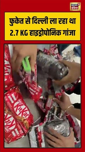 Viral Video | फुकेत से दिल्ली ला रहा था 2.7 KG हाइड्रोपोनिक गांजा #shorts #viralnews #viralvideo