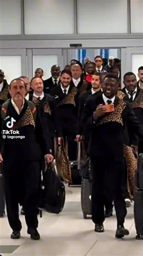 Léopard du Congo : infos et vidéos du léopard RDC