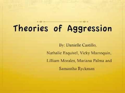 Theories of Aggression