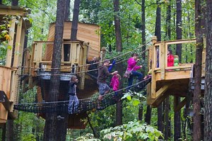 Destination: Museum of Life and Science's Hideaway Woods