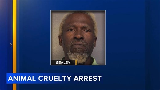 Several months ago, our Animal Law Enforcement team rescued ten dogs from a home in Delaware County. After a call came in reporting a deceased dog at the property, officers went to the scene where they found other surviving dogs living on a porch that was coated in urine and feces. Several were emaciated. They were all brought to our Philadelphia headquarters where our medical and behavioral teams worked tirelessly to heal them and happily, they all found forever homes. But our work didn’t stop 