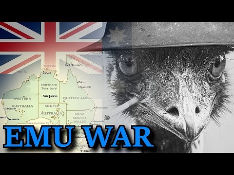 The Great Emu War Documentary