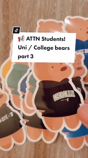 BearStudioCo on TikTok