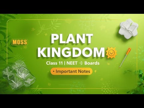@ feel the skill / class eleven plant kingdom ncert / for board / neet / notes