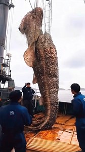 Most weird animal of sea | Riddles Only