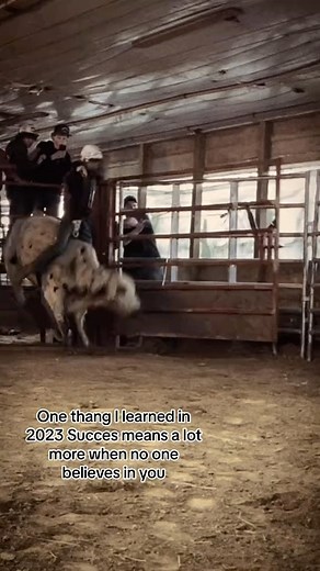 1st rule in underground bull riding: don’t talk about underground bull riding (Via @punchy_kiddo_256/TikTok) | Slap Dicks Cattle Co.