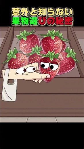 意外と知らない果物選びの秘密